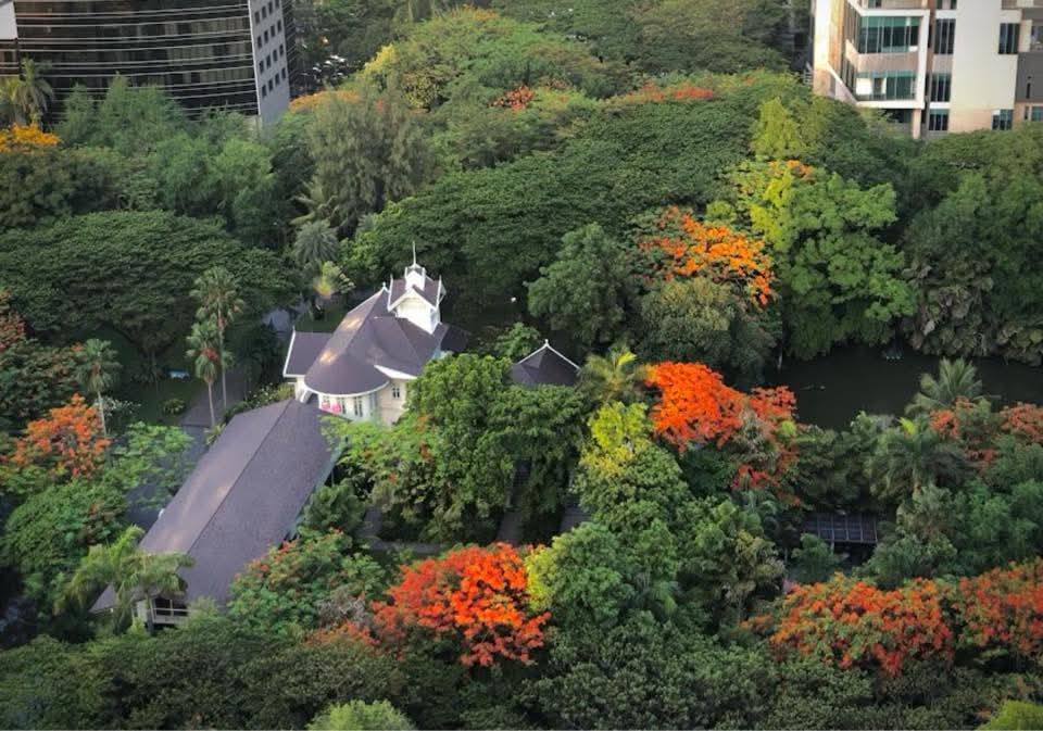 The lush botanical landscape of the Dutch Embassy compound in Bangkok. Image: Ellen Boonstra.
