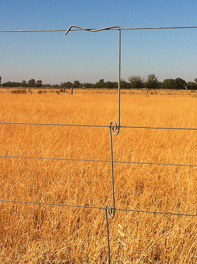 Lightning Fence Dropper in position.