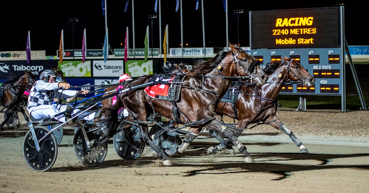 Victoria Derby-winning three-year-old Colt Thirty One was crowned Queensland Harness Horse of the Year at the 2018 UBET Queensland Harness awards in Brisbane recently. Image: Racing Queensland.