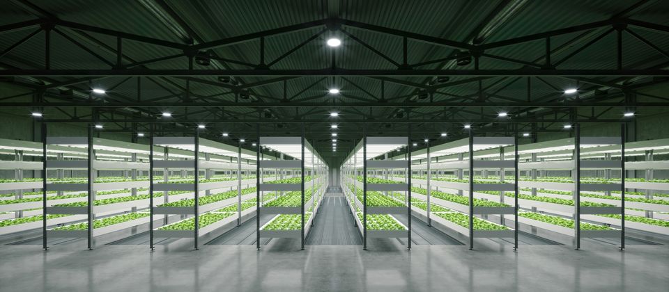 Gaia Project Australia has a vertical farm now operating in the heart of Melbourne in the Docklands area.
